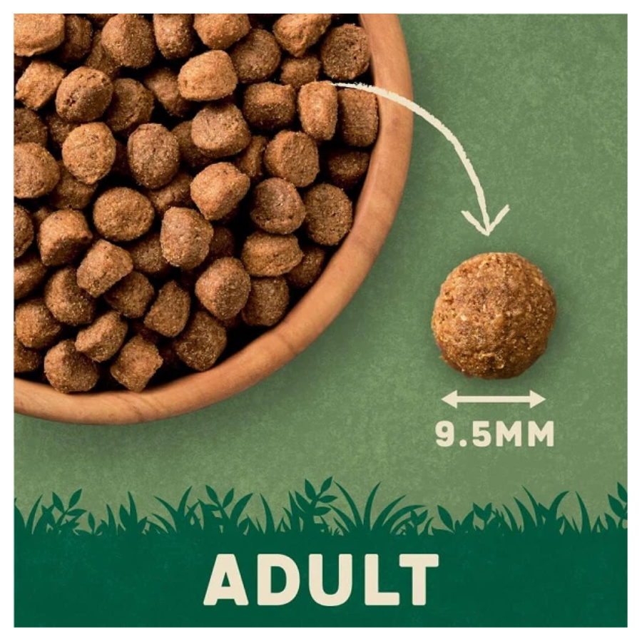 Harringtons Adult Dry Rich in Turkey & Veg 1.7kg Pack of 4